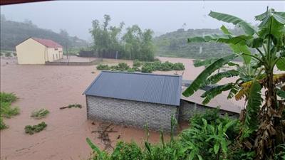 Các Bộ ngành, địa phương chủ động ứng phó mưa lũ tại khu vực Bắc Bộ