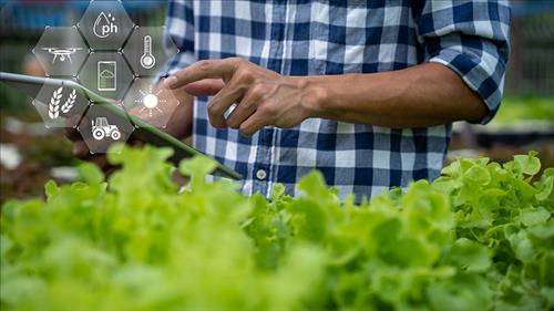 Kết nối các khu nông nghiệp công nghệ cao với hệ sinh thái khởi nghiệp và tài chính xanh