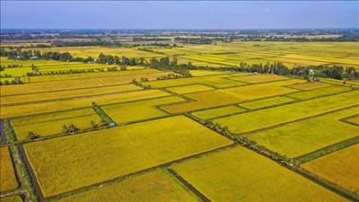 Sản xuất nông nghiệp ổn định, tăng tốc xuất khẩu