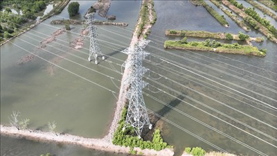 Hoàn thành dự án TBA 220kV Năm Căn và đường dây 220kV Năm Căn - Cà Mau 2