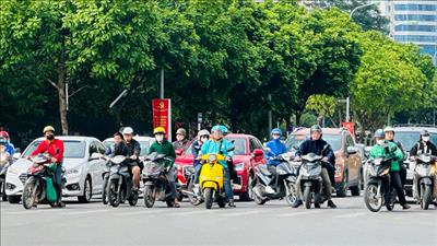 Thời tiết ngày 12/1: Nhiều khu vực có nắng, Bắc Bộ vẫn rét sâu