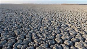 WMO: El Nino có thể quay lại vào tháng 5