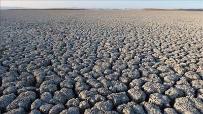 WMO: El Nino có thể quay lại vào tháng 5