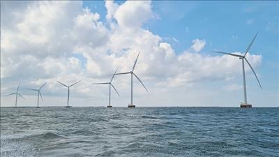 Ưu điểm của năng lượng tái tạo và tiềm năng năng lượng gió tại Việt Nam