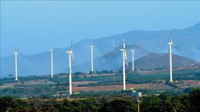 Bình Thuận ưu tiên phát triển các dự án năng lượng tái tạo, năng lượng sạch