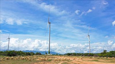 HSBC Việt Nam hợp tác tài trợ các dự án năng lượng tái tạo