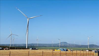 EVNNPT đối thoại với các chủ đầu tư nhà máy điện năng lượng tái tạo