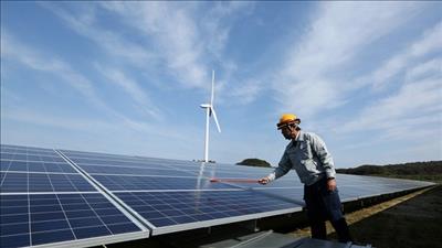 Mỹ đấu thầu dự án năng lượng tái tạo lớn nhất