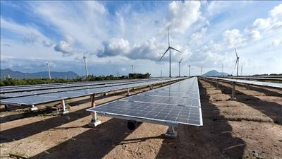 Tìm cách giải tỏa công suất các dự án năng lượng tái tạo tại Ninh Thuận
