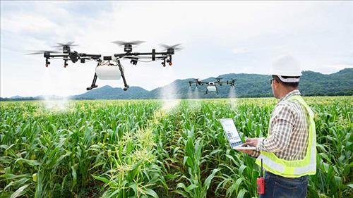 EU đẩy nhanh số hóa nông nghiệp