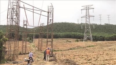 Chuyển hơn 54 ha rừng để thi công đường dây 500kV đấu nối NMNĐ Nghi Sơn 2