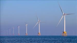 Anh xây trang trại điện gió ngoài khơi lớn nhất thế giới