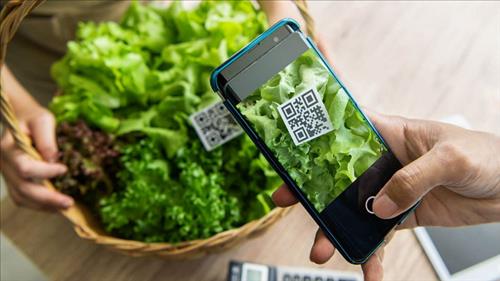 Truy xuất nguồn gốc và thực hành ESG giúp doanh nghiệp phát triển bền vững