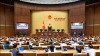 Hoàn thiện cơ sở pháp lý về năng lượng nguyên tử để đáp ứng yêu cầu thực tiễn