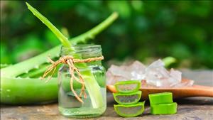 Lợi ích của nước ép nha đam đối với sức khỏe