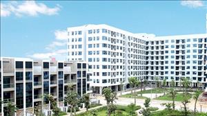 Quyết liệt hơn nữa trong phát triển nhà ở xã hội