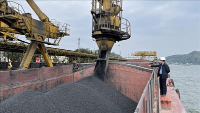 Đẩy mạnh xuất nhập khẩu than giữa Việt Nam và Nam Phi
