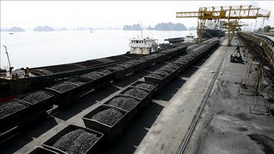 Nhập khẩu than đạt hơn 46,3 triệu tấn trong 11 tháng đầu năm