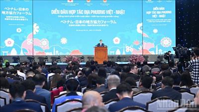 Hợp tác địa phương, doanh nghiệp chính là điểm đặc sắc riêng có của quan hệ Việt Nam - Nhật Bản