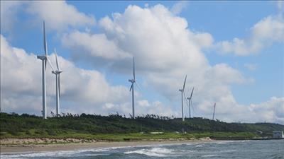 Nhật Bản thúc đẩy phát triển nguồn điện gió biển