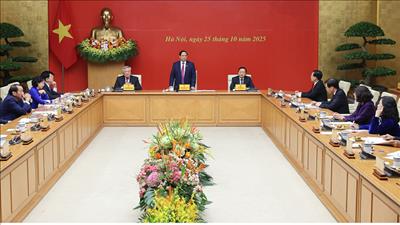 Tập trung triển khai các nhiệm vụ trọng tâm cuối năm 2025