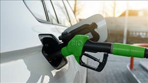 Bảo đảm tính khả thi trong triển khai lộ trình sản xuất, phối trộn, phân phối, sử dụng nhiên liệu sinh học