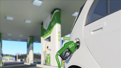 Đẩy mạnh sản xuất, phối trộn, phân phối và sử dụng nhiên liệu sinh học