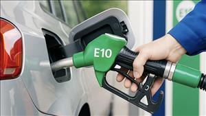 Nhiên liệu sinh học mở ra cơ hội phát triển kinh tế xanh