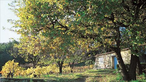 Kỷ niệm với Clos Bernarde vùng Provence