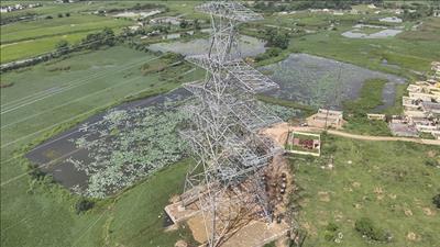 Ninh Bình tập trung nguồn lực để sớm tháo gỡ mặt bằng dự án đường dây 500/220kV Nho Quan - Phủ Lý - Thường Tín
