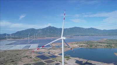 Ninh Thuận hiện thực hóa mục tiêu thành trung tâm năng lượng tái tạo của cả nước