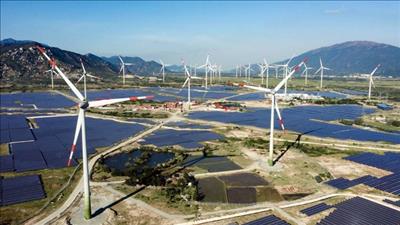 Thực hiện đề án phát triển Ninh Thuận thành trung tâm năng lượng tái tạo