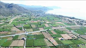 Triển khai các dự án thành phần Nhà máy điện hạt nhân Ninh Thuận