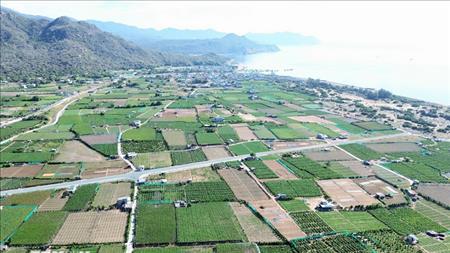 Triển khai các dự án thành phần Nhà máy điện hạt nhân Ninh Thuận