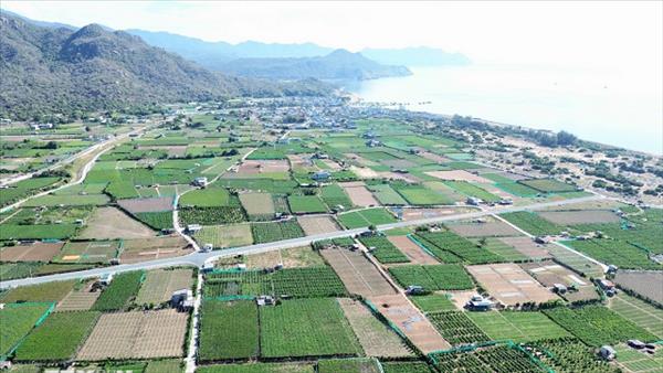 Triển khai các dự án thành phần Nhà máy điện hạt nhân Ninh Thuận