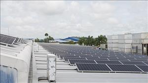 Doanh nghiệp Anh - Việt trao đổi về phát triển trung tâm tài chính quốc tế và năng lượng tái tạo
