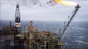 Cơ quan Năng lượng quốc tế: Kỷ nguyên nhiên liệu hóa thạch thay đổi vĩnh viễn