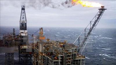 Cơ quan Năng lượng quốc tế: Kỷ nguyên nhiên liệu hóa thạch thay đổi vĩnh viễn