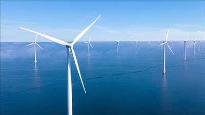 Việt Nam trở thành thành viên của Cơ quan Năng lượng tái tạo quốc tế