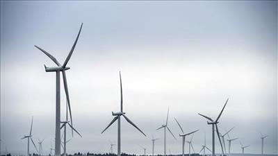 EU thông qua kế hoạch hỗ trợ năng lượng tái tạo 28 tỷ Euro của Đức