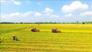 Ra mắt sổ tay hướng dẫn nhiệm vụ của chính quyền cấp xã trong lĩnh vực nông nghiệp và môi trường