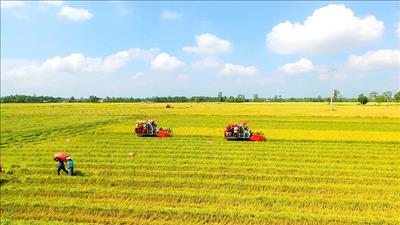 Ra mắt sổ tay hướng dẫn nhiệm vụ của chính quyền cấp xã trong lĩnh vực nông nghiệp và môi trường