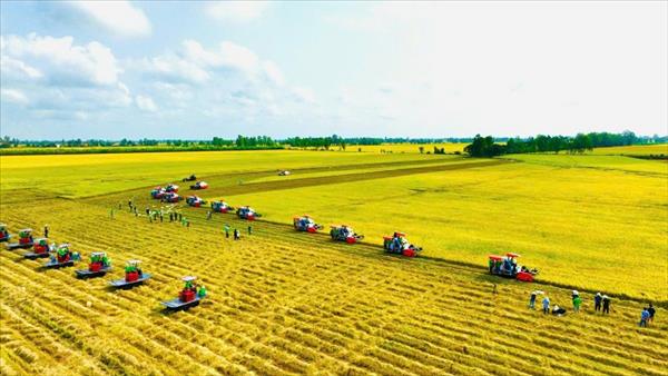 Ứng dụng công nghệ xanh trong nông nghiệp phát thải thấp