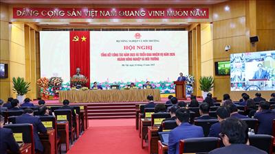 Thủ tướng: Trong kỷ nguyên mới, nông nghiệp vẫn là trụ đỡ nhưng phải đột phá mạnh mẽ hơn