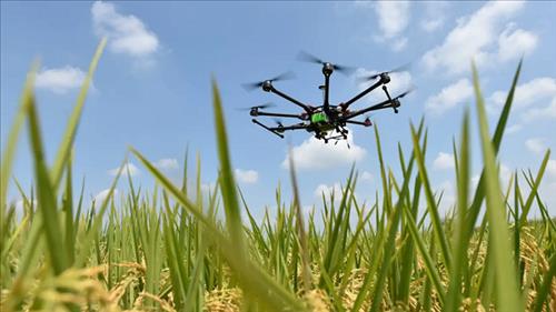 Phát triển các công nghệ lõi, công nghệ chiến lược phục vụ sản xuất nông nghiệp