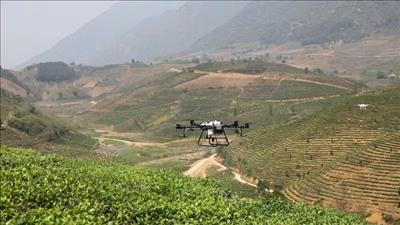 Cơ hội để nông nghiệp Việt Nam bứt tốc