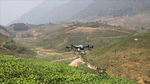 Cơ hội để nông nghiệp Việt Nam bứt tốc