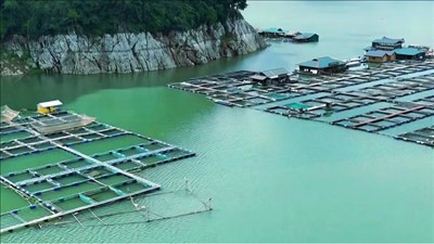 Ứng dụng khoa học cho chuỗi giá trị nông nghiệp xanh