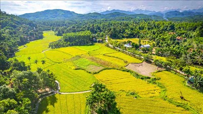 Lập Ban chỉ đạo Trung ương thực hiện Chương trình mục tiêu quốc gia phát triển văn hóa - xã hội, nông thôn, dân tộc và miền núi