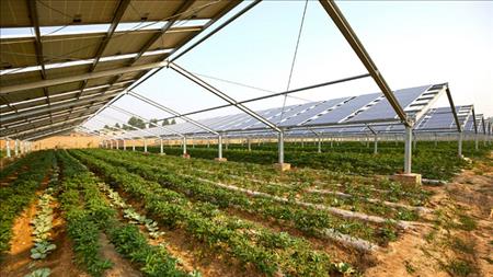 Khởi động dự án Canh tác nông nghiệp kết hợp điện mặt trời cho nông thôn Việt Nam